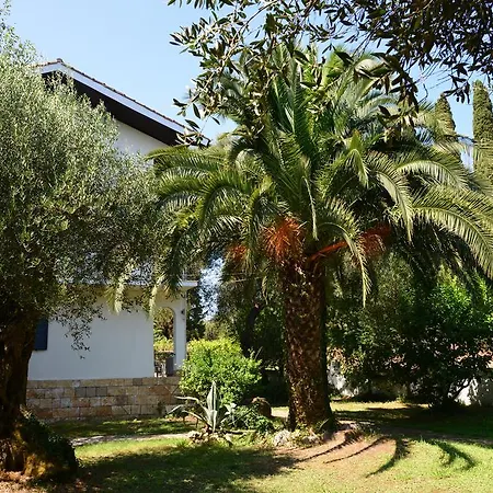 Ipiros Guest house 2*