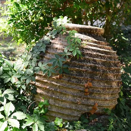Guest house Ipiros